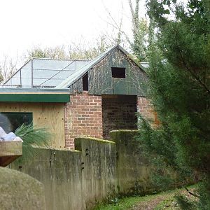 Old Building Revealed (#2 of 3) 7 March 2012