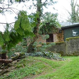 Old Building Revealed (#3 of 3) 7 March 2012