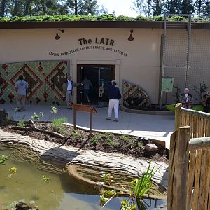 The LAIR ENTRANCE - Members Preview