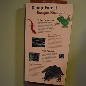 DAMP FOREST SIGNAGE