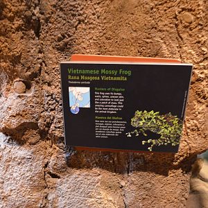 VIETNAMESE MOSSY FROG SIGNAGE