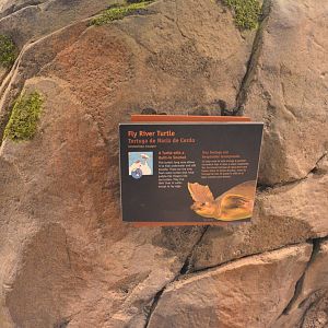 FLY RIVER TURTLE SIGNAGE