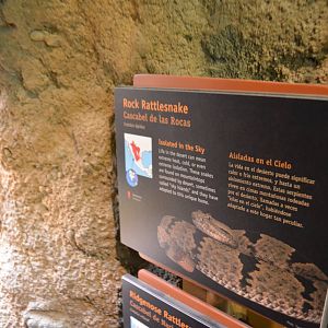 ROCK/RIDGE-NOSED RATTLESNAKE SIGNAGE