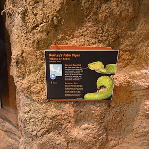 ROWLEY'S PALM VIPER SIGNAGE
