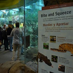 BITE AND SQUEEZE SIGNAGE