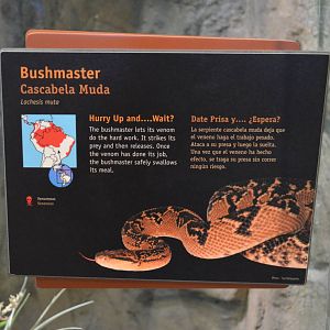 BUSHMASTER SIGNAGE