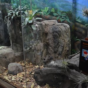 BUSHMASTER EXHIBIT