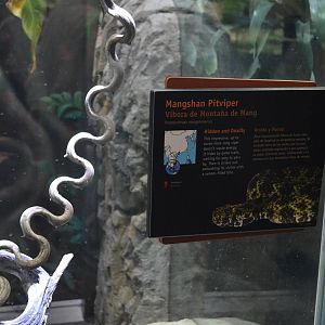 MANGSHAN PITVIPER SIGNAGE