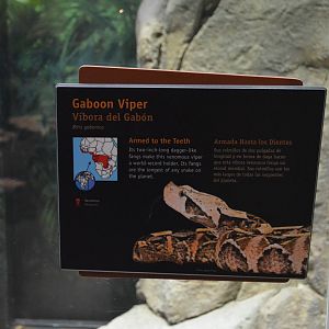 GABOON VIPER SIGNAGE