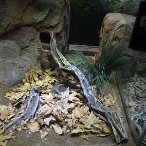 COTTONMOUTH/COPPERHEAD EXHIBIT
