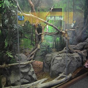 GRAY'S MONITOR EXHIBIT