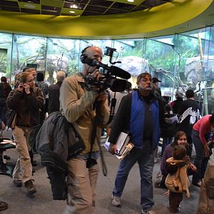 PREVIEW DAY EXCITEMENT