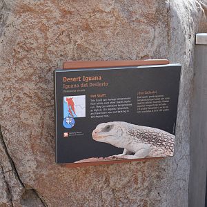 ARROYO LAGARTO SIGNAGE