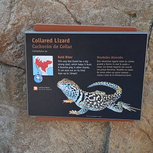 ARROYO LAGARTO SIGNAGE