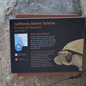 ARROYO LAGARTO SIGNAGE