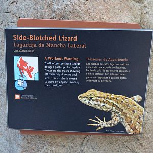 ARROYO LAGARTO SIGNAGE