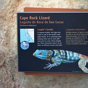 ARROYO LAGARTO SIGNAGE