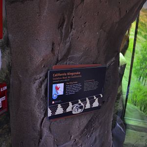 CALIFORNIA KINGSNAKE