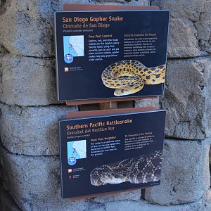 SAN DIEGO GOPHER SNAKE/SOUTHERN PACIFIC RATTLESNAKE SIGNAGE