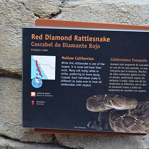 RED DIAMOND RATTLESNAKE SIGNAGE