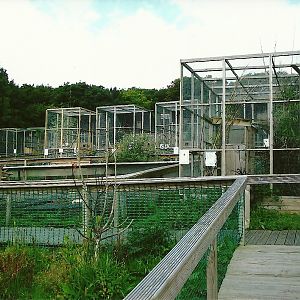 General view 5th September 2011