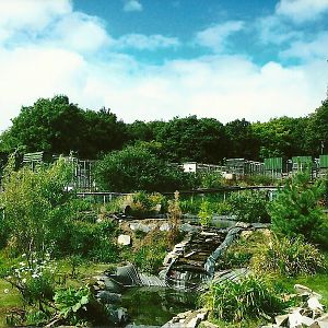 Waterfowl exhibit 5th September 2011