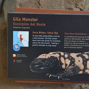 GILA MONSTER SIGNAGE