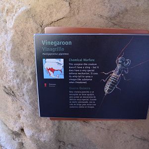 VINEGAROON SIGNAGE