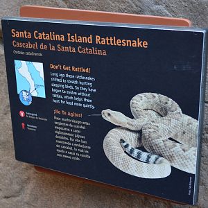 SANTA CATALINA ISLAND RATTLESNAKE SIGNAGE
