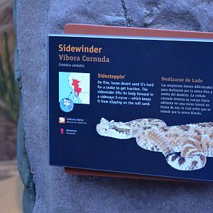 SIDEWINDER SIGNAGE