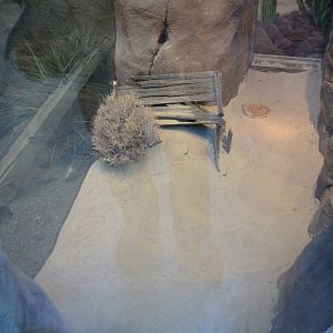 SIDEWINDER EXHIBIT