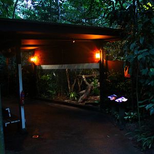 Leopard Trail - Asian Golden Cat exhibit