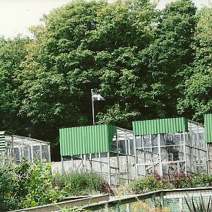 The top of the garden 5th September 2011