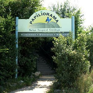 Papiliorama - Entrance