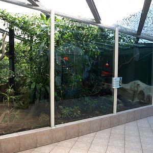 Papiliorama - Rainforest exhibit #1