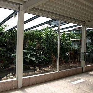 Papiliorama - Rainforest exhibit #2