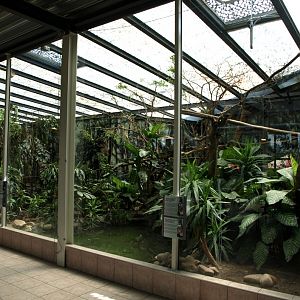 Papiliorama - Rainforest exhibit #3