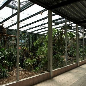 Papiliorama - Rainforest exhibit #3