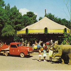 Catskill Game Farm Postcard