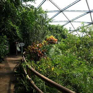 Papiliorama - Papiliorama Hall