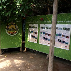 Papiliorama - Papiliorama Hall (Exhibition)