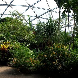 Papiliorama - Papiliorama Hall