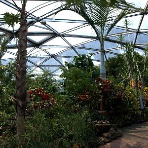 Papiliorama - Papiliorama Hall