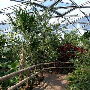 Papiliorama - Papiliorama Hall