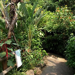 Papiliorama - Papiliorama Hall