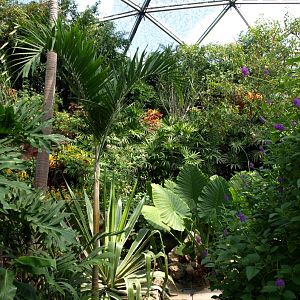 Papiliorama - Papiliorama Hall