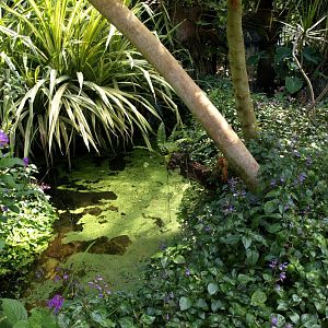 Papiliorama - Papiliorama Hall