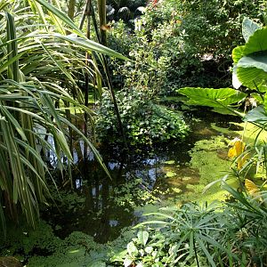 Papiliorama - Papiliorama Hall