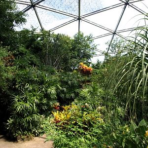 Papiliorama - Papiliorama Hall