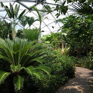 Papiliorama - Papiliorama Hall